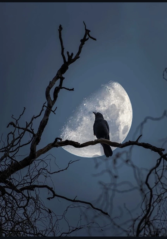 moon blurry aesthetic dp