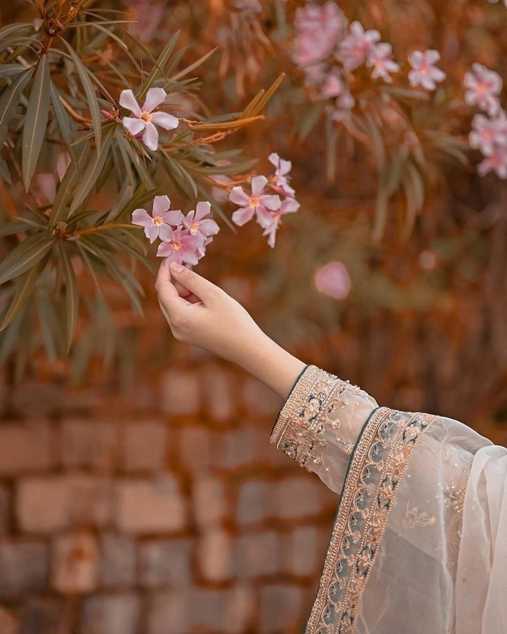 most beautiful flowers images for dp free download