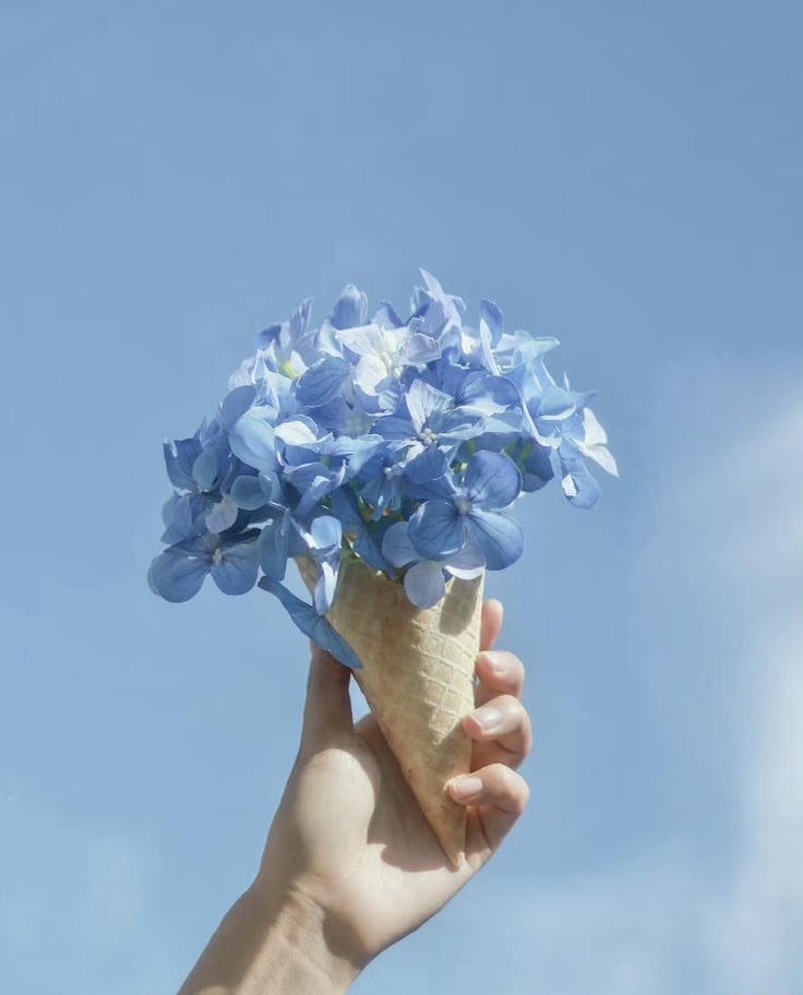 photo set of blue dp ideas for stylish profiles