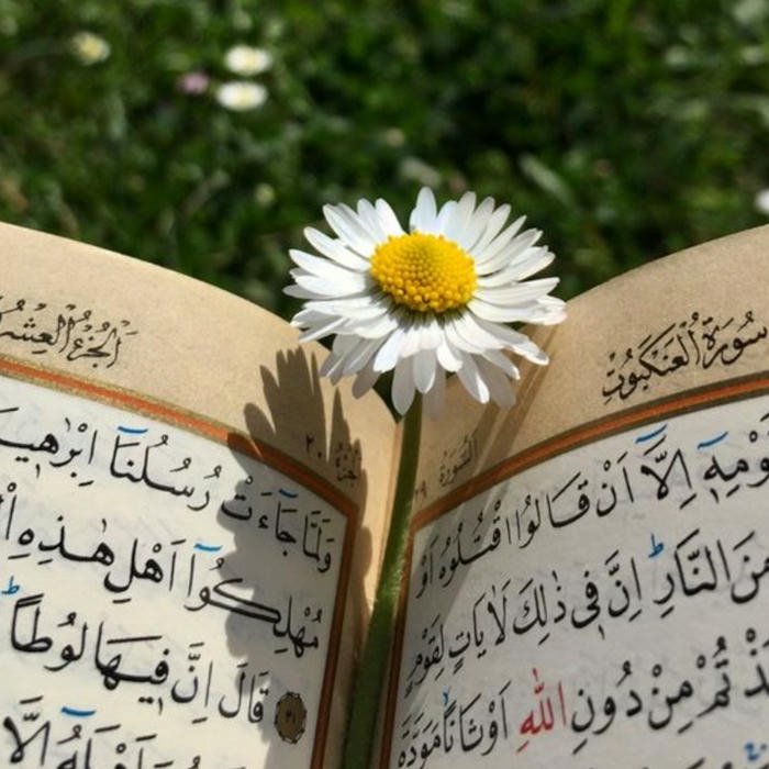 pretty Cute Quran DP