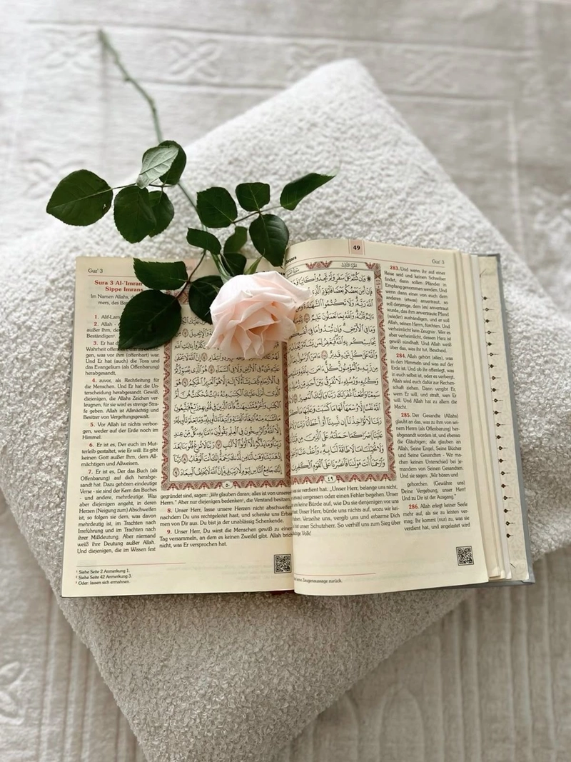 quran verses dp