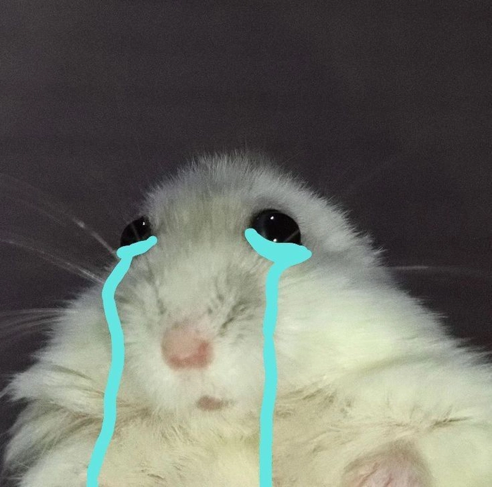 sad hamster meme pfp