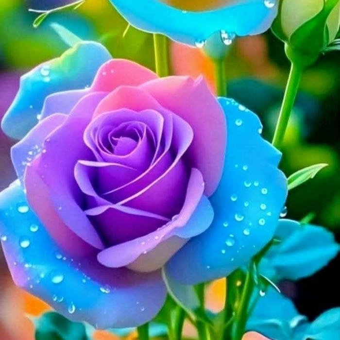 simple Beautiful Flowers Images for DP