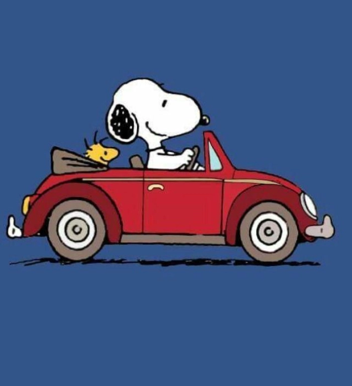 snoopy driver pfp