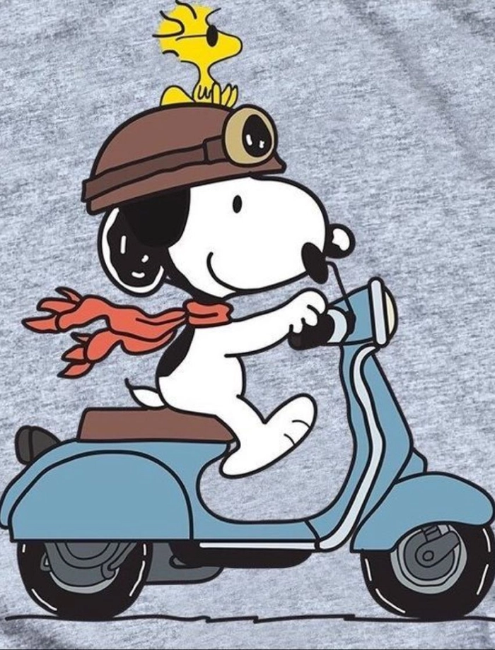 snoopy motor pfp