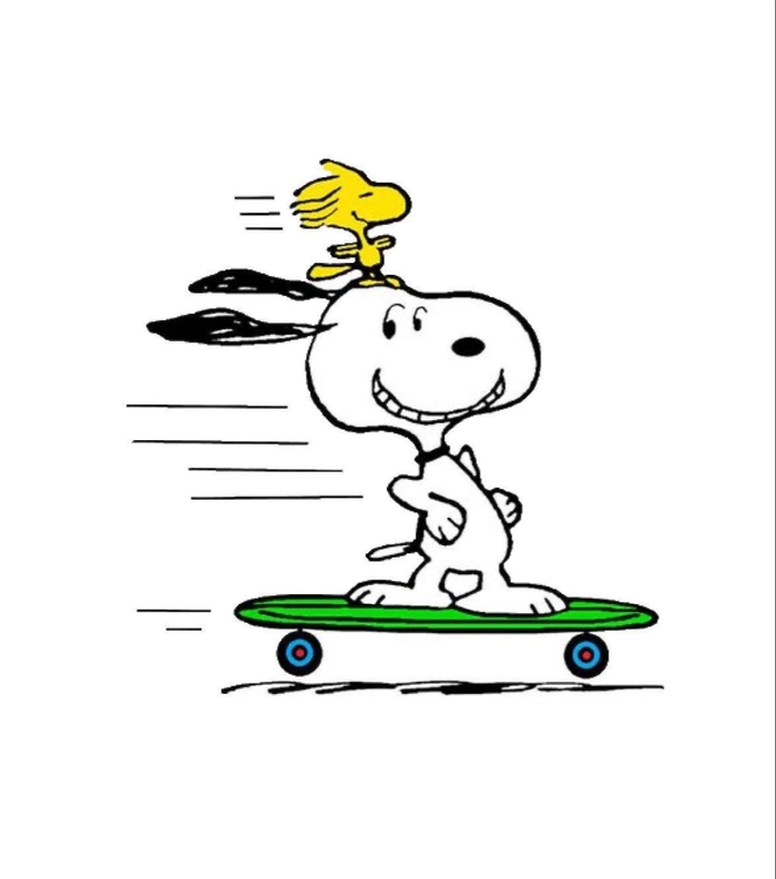 snoopy skate pfp