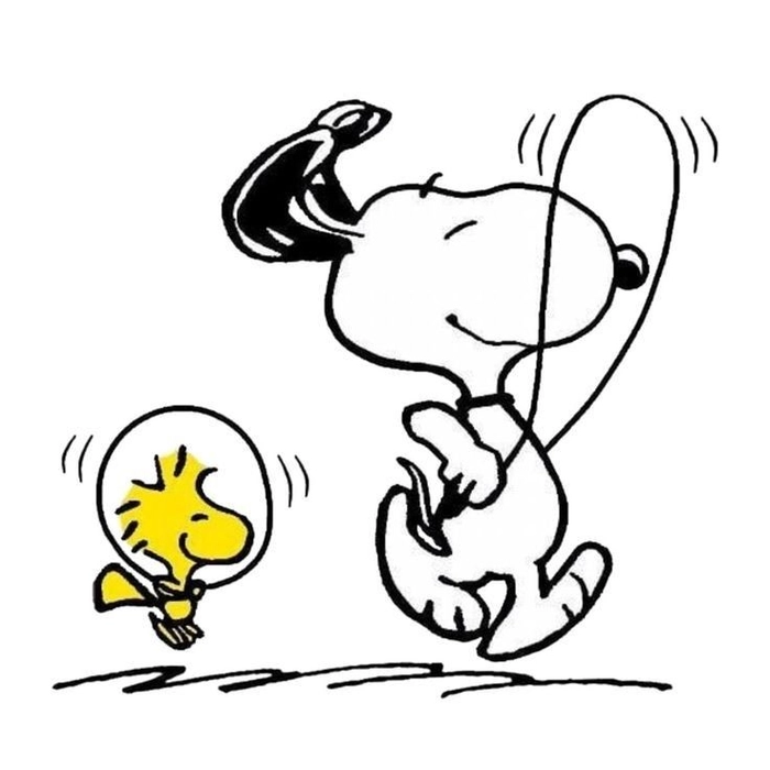 snoopy skip pfp