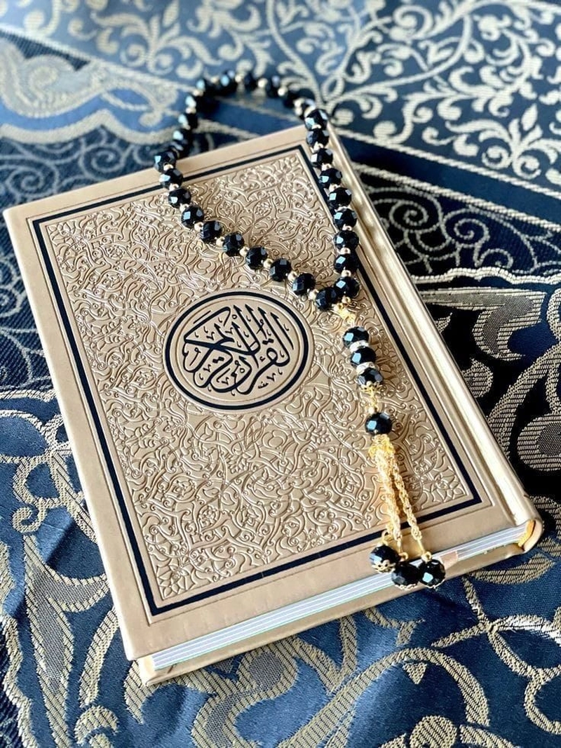 whatsapp beautiful quran dp