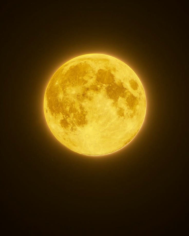 yellow bright dp for whatsapp