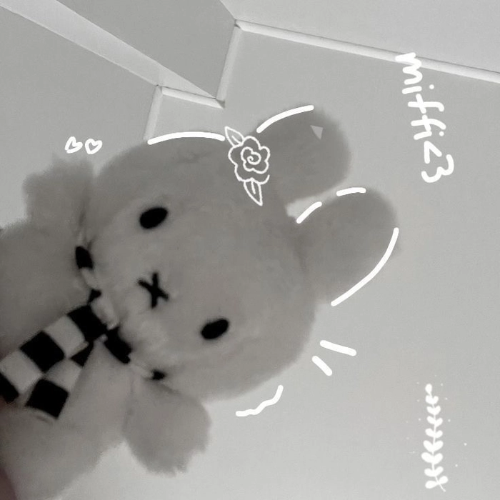 Gray bunny pfp