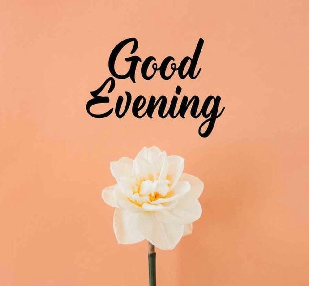 Images for WhatsApp Good Evening calm sunset photo
