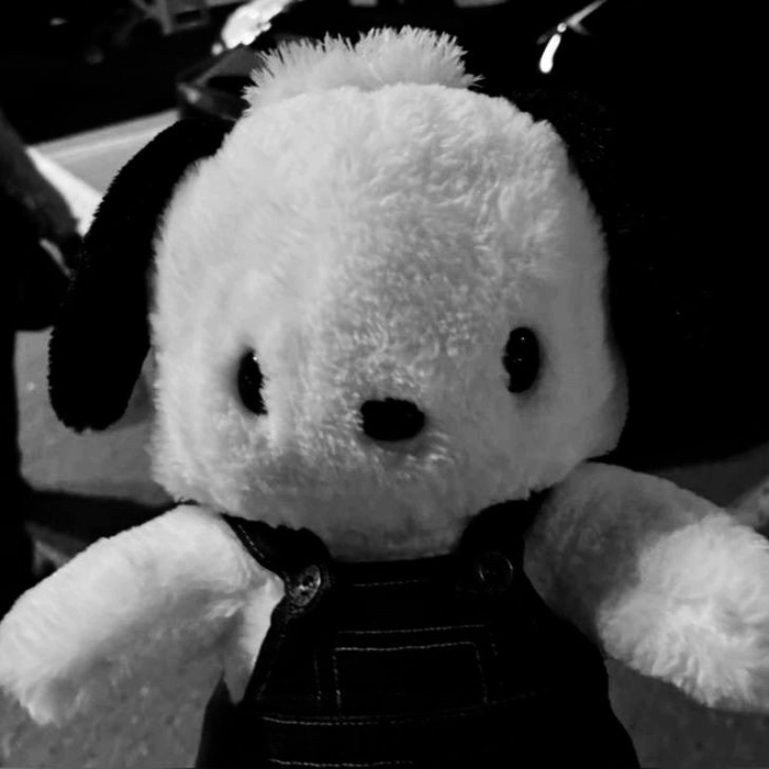 aesthetic black and white dp for instagram
