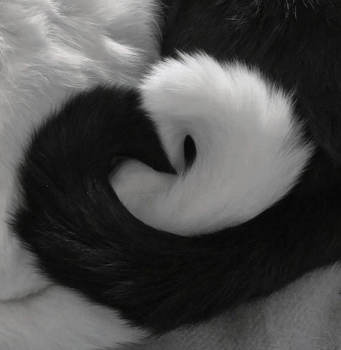 aesthetic black and white dp