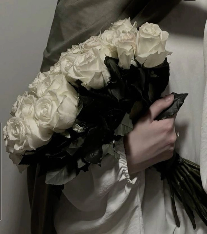 aesthetic white rose dp