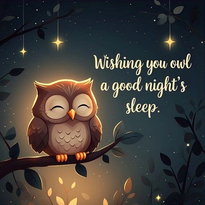animated good night pic