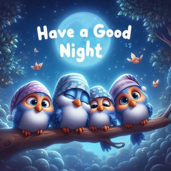 animated good night pics