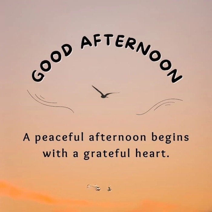 beautiful good afternoon images with quotes for whatsapp