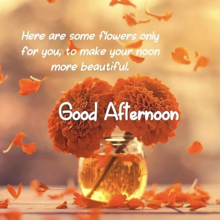 beautiful good afternoon images with quotes