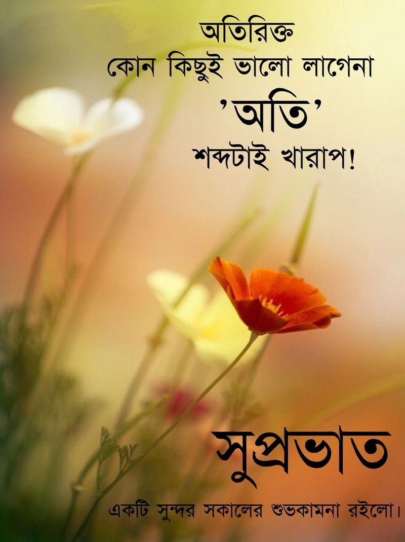 bengali good morning images for whatsapp free download