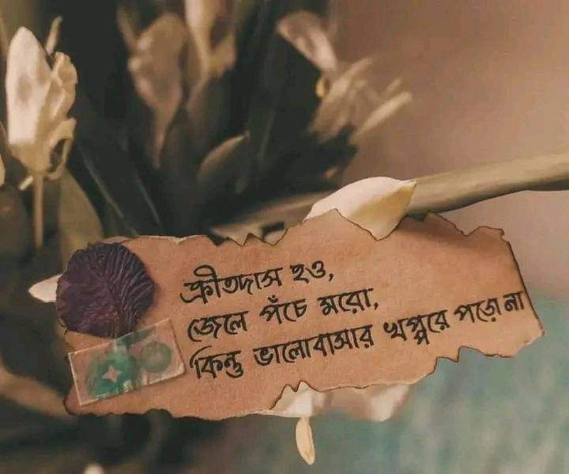 bengali sad shayari in bengali