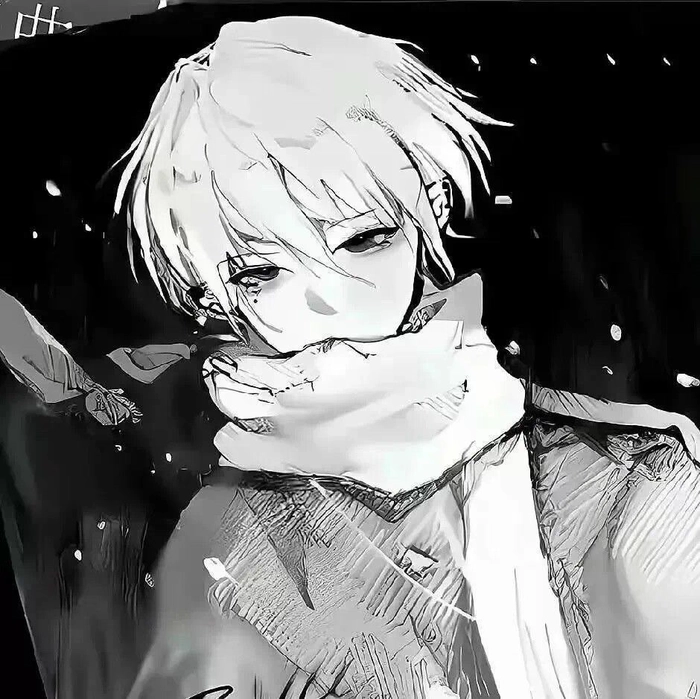 black and gray anime pfp
