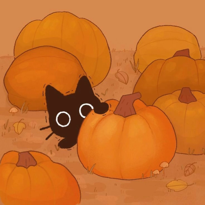 black and orange pfp