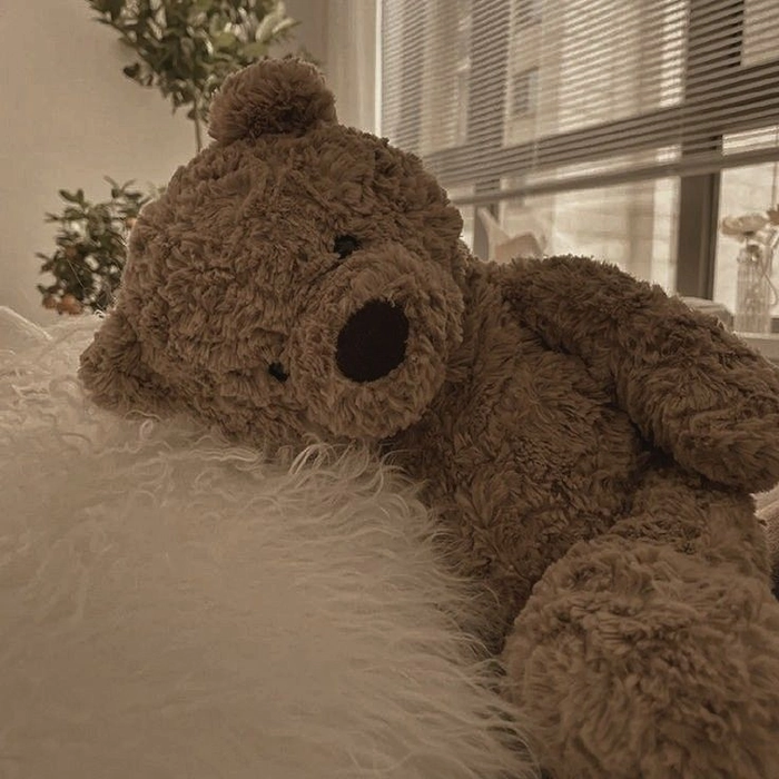 brown bear pfp