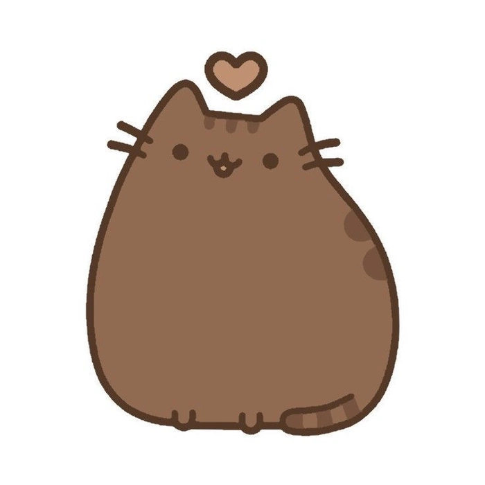 brown kitten pfp