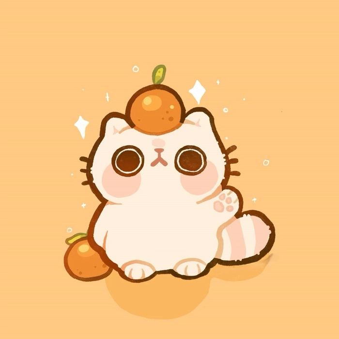 cool orange pfp