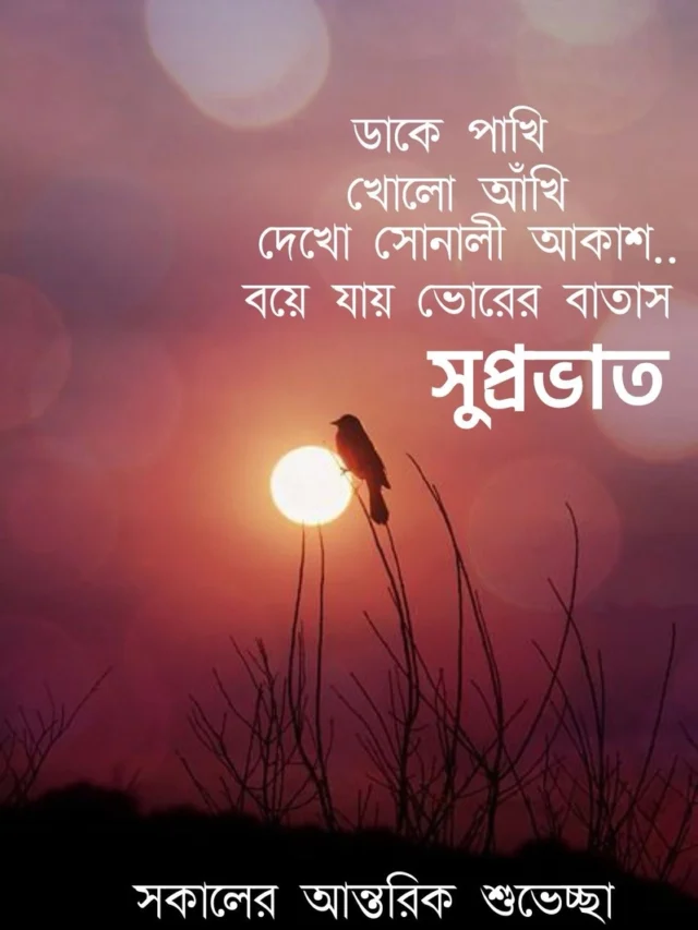 Top 188+ Bengali Good Morning Images With Quotes HD