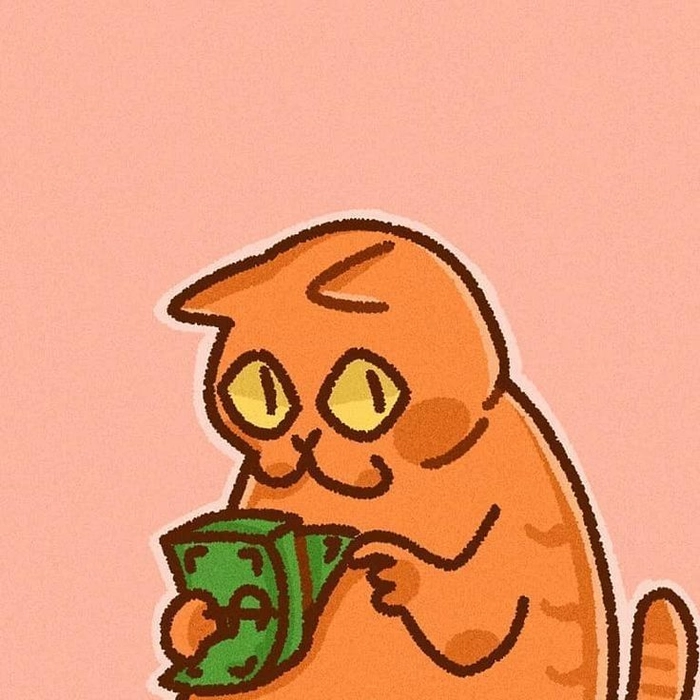 cute orange cat pfp