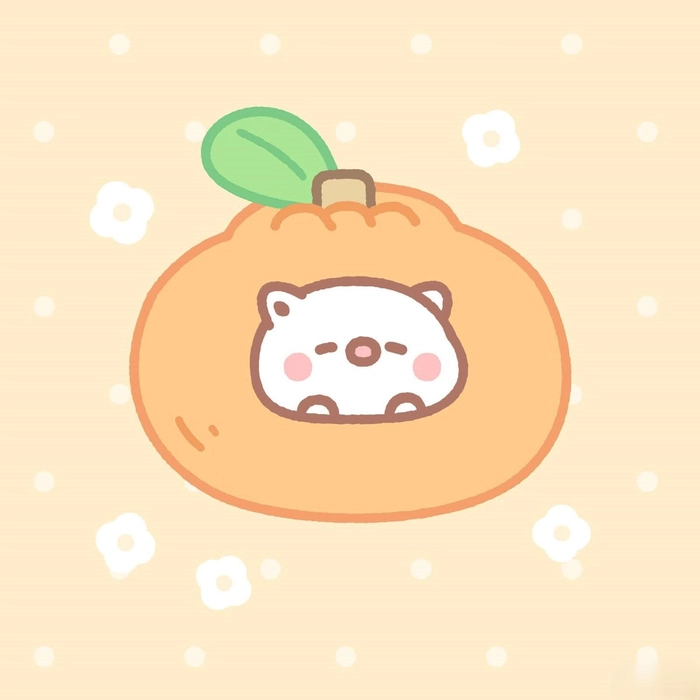 cute orange pfp