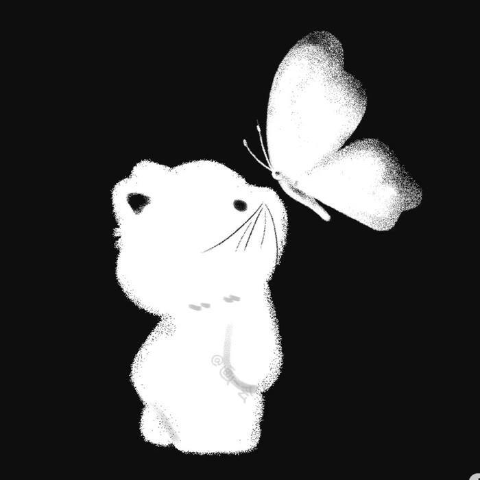 cute unique black and white whatsapp dp