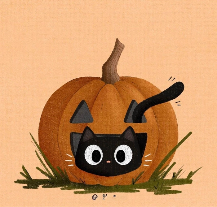 dark orange cat pfp