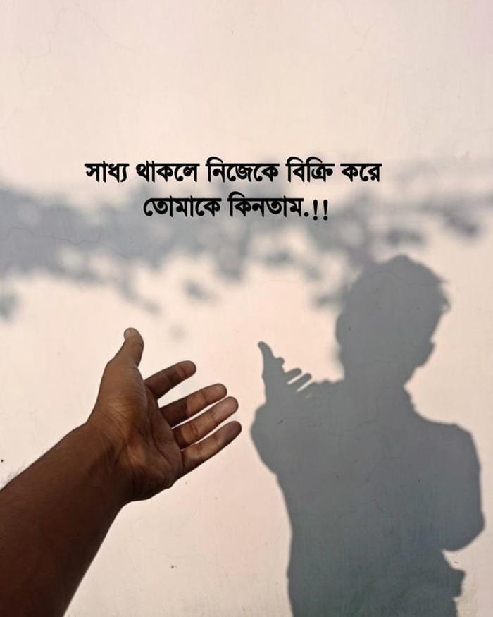 emotional bengali shayari dp