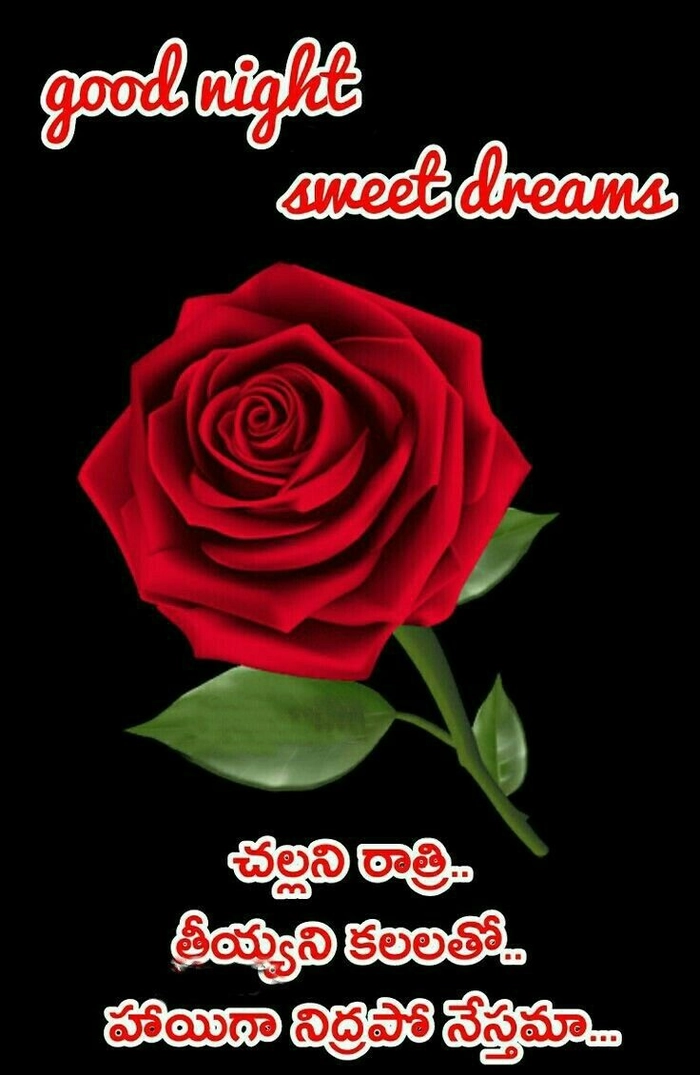 flower good night images in telugu