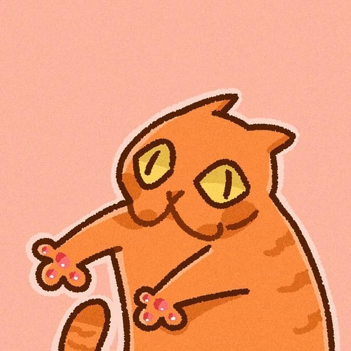 funny orange cat pfp