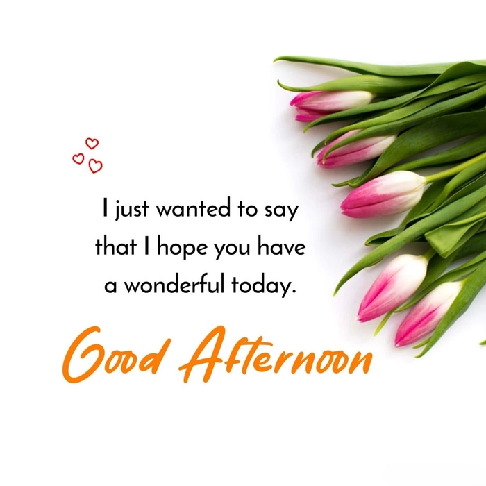 good afternoon images for whatsapp download