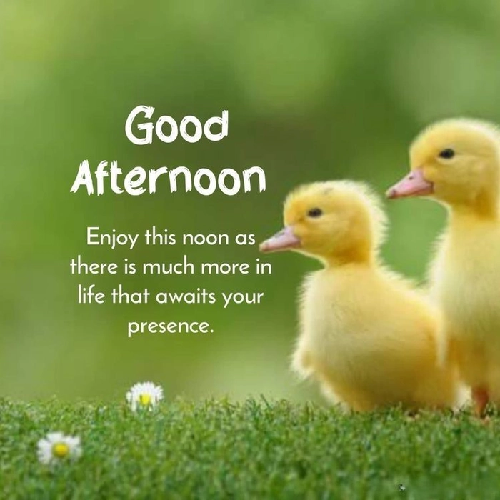 good afternoon images for whatsapp with quotes for friends