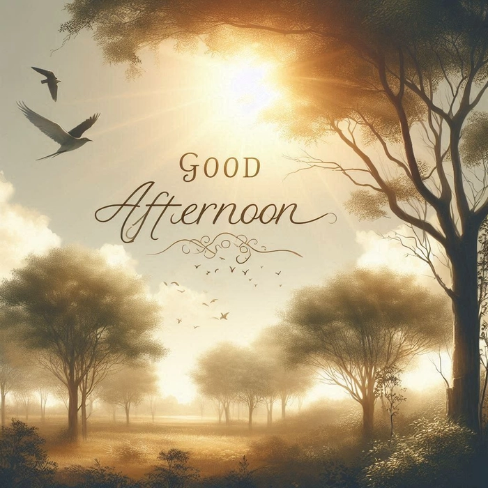 good afternoon pictures for whatsapp