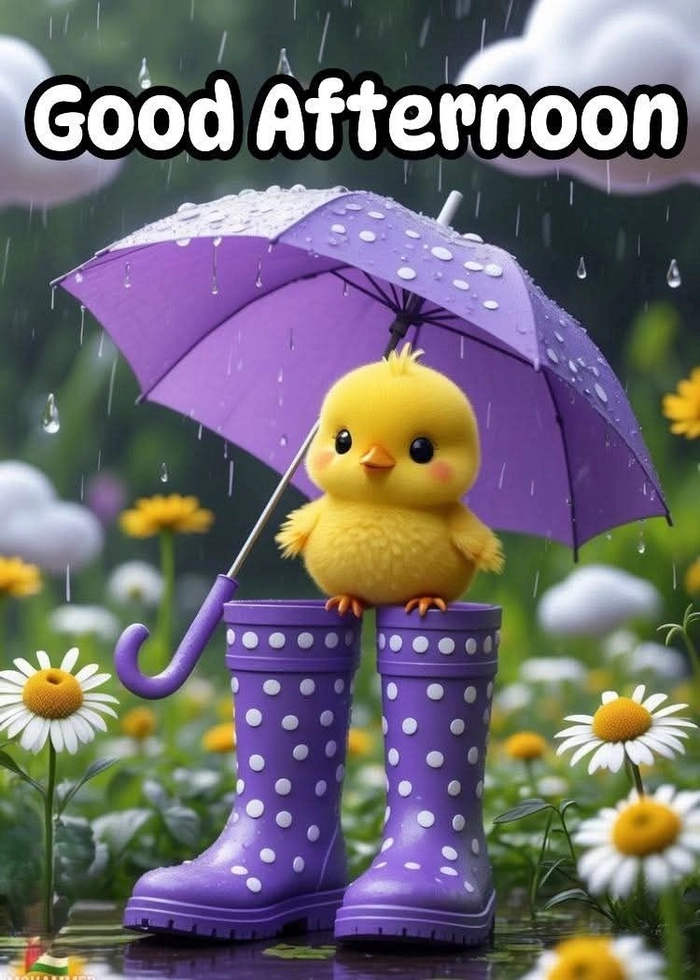 good afternoon rainy images for whatsapp