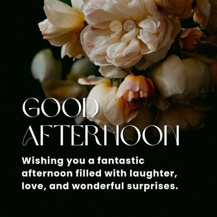 good afternoon whatsapp message