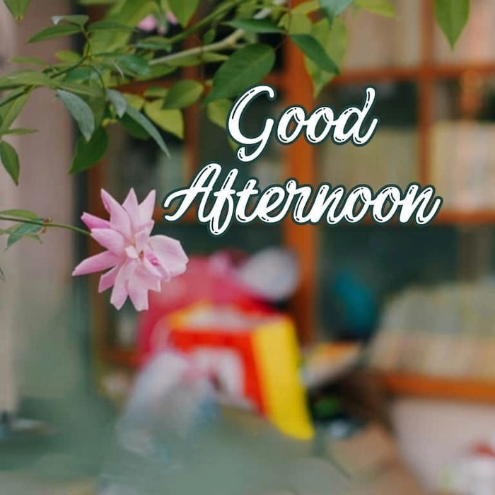 good afternoon wishes image for whatsapp