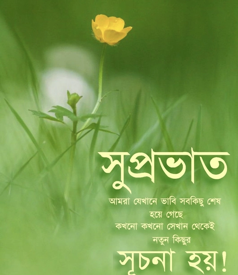 good morning images bengali for whatsapp
