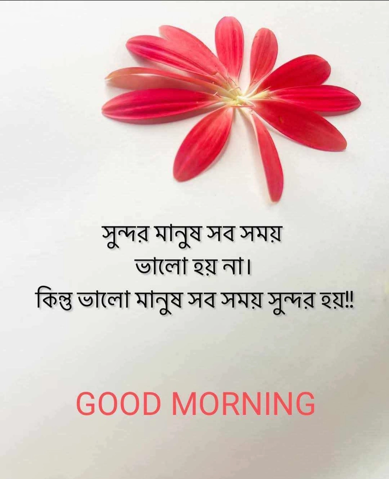 good morning images in bengali sharechat