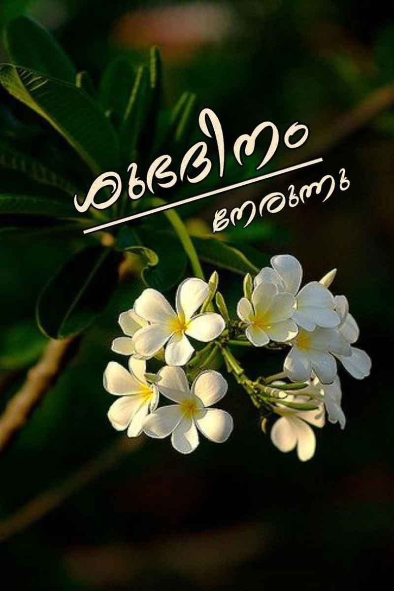 good morning images malayalam