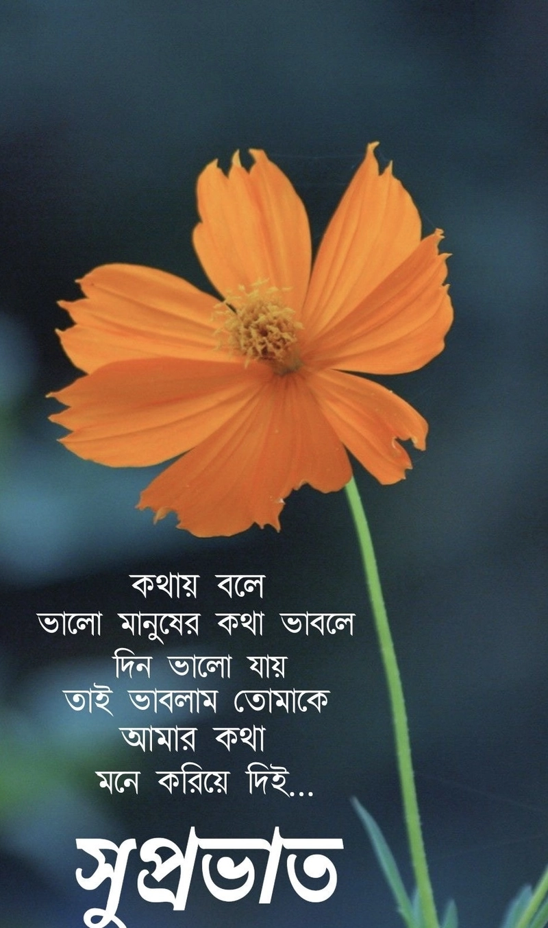 good morning wishes in bengali with god images