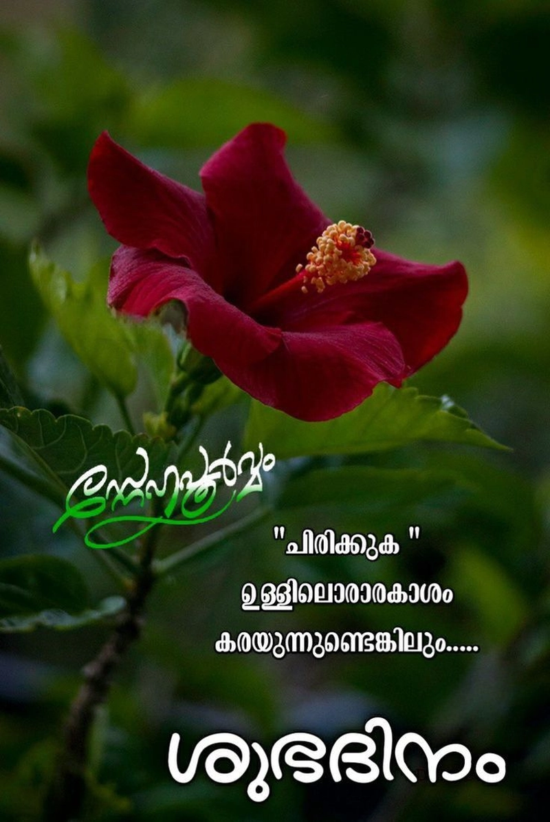 good morning wishes malayalam images download