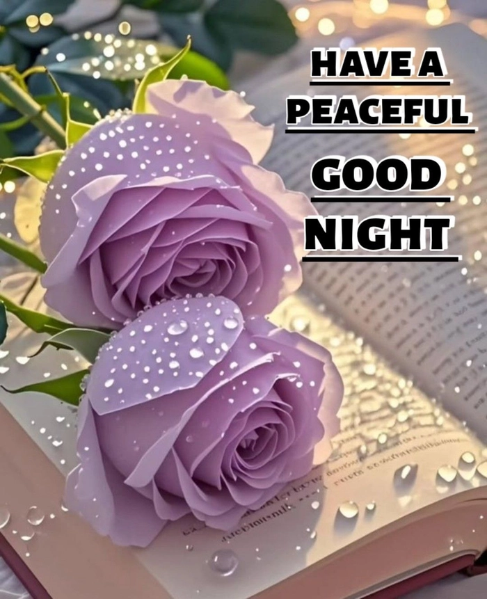good night flowers images with quotes