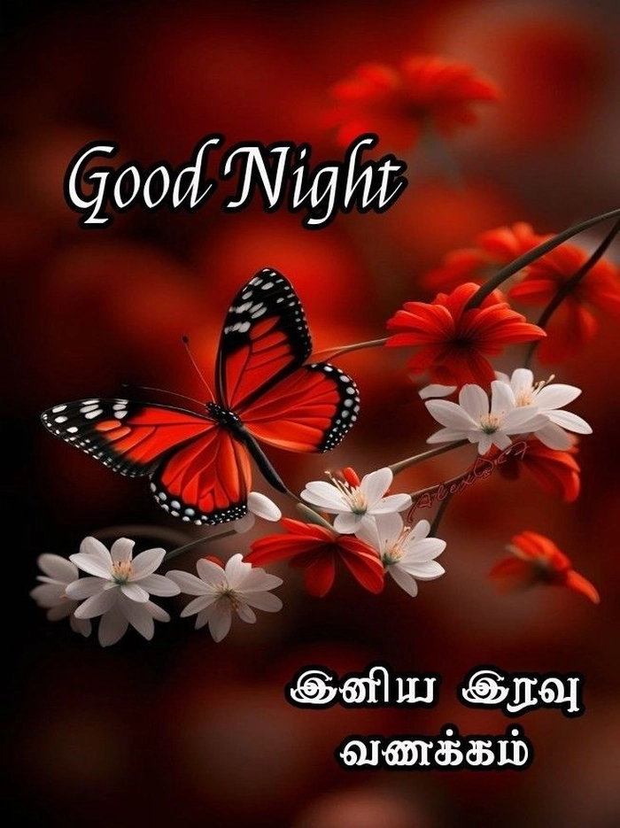 good night images tamil flowers